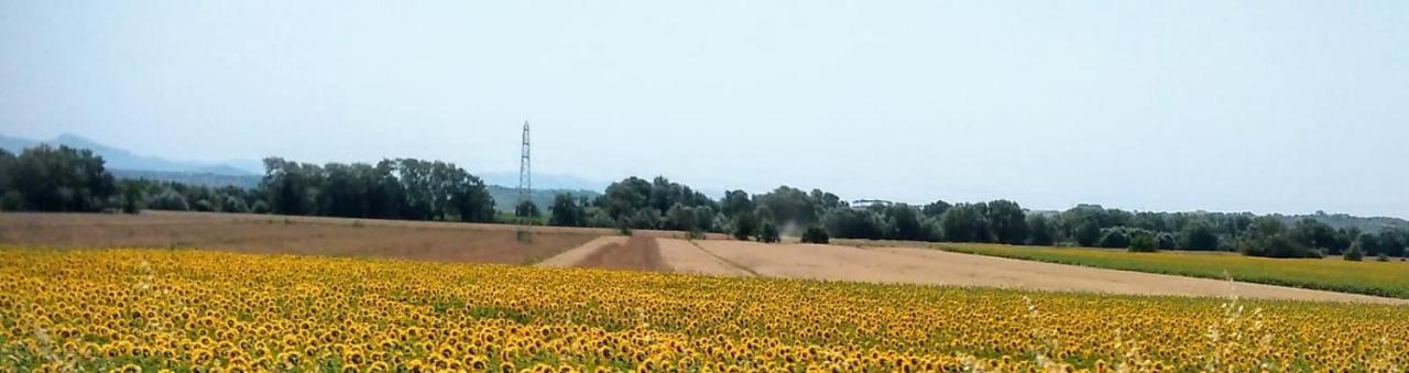 Splendido Ampio Appartamento A Montepulciano Stazione Exteriör bild