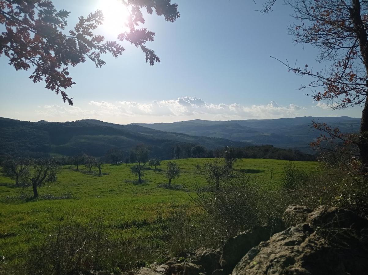 Splendido Ampio Appartamento A Montepulciano Stazione Exteriör bild