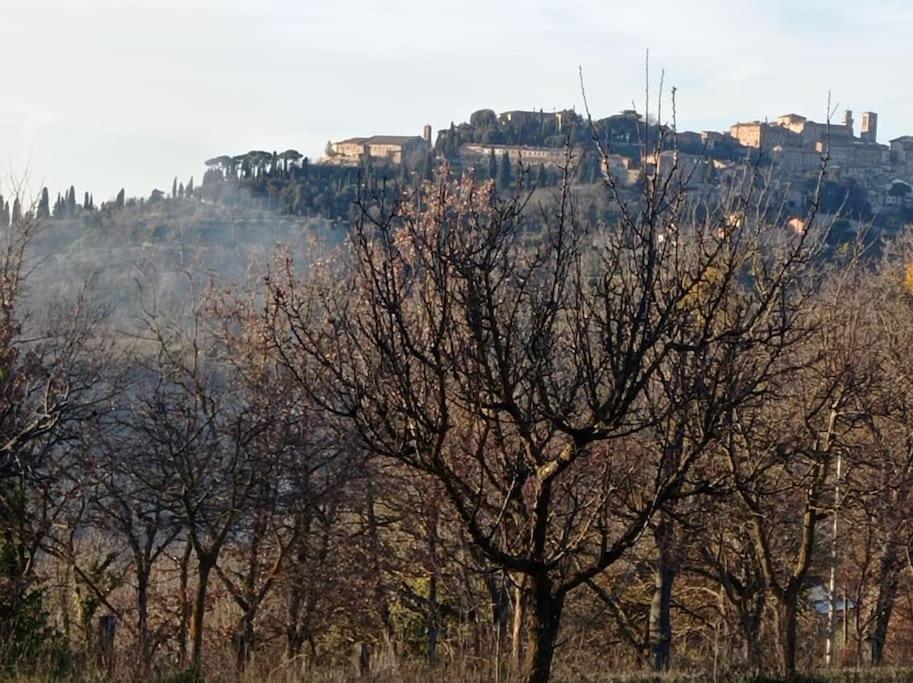 Splendido Ampio Appartamento A Montepulciano Stazione Exteriör bild