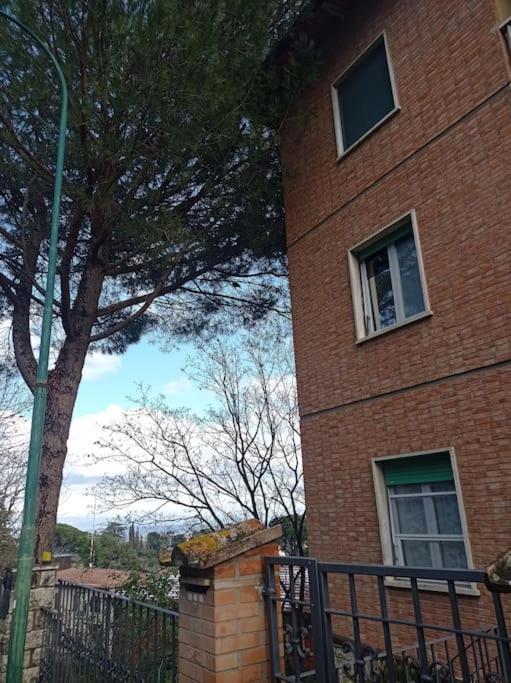 Splendido Ampio Appartamento A Montepulciano Stazione Exteriör bild