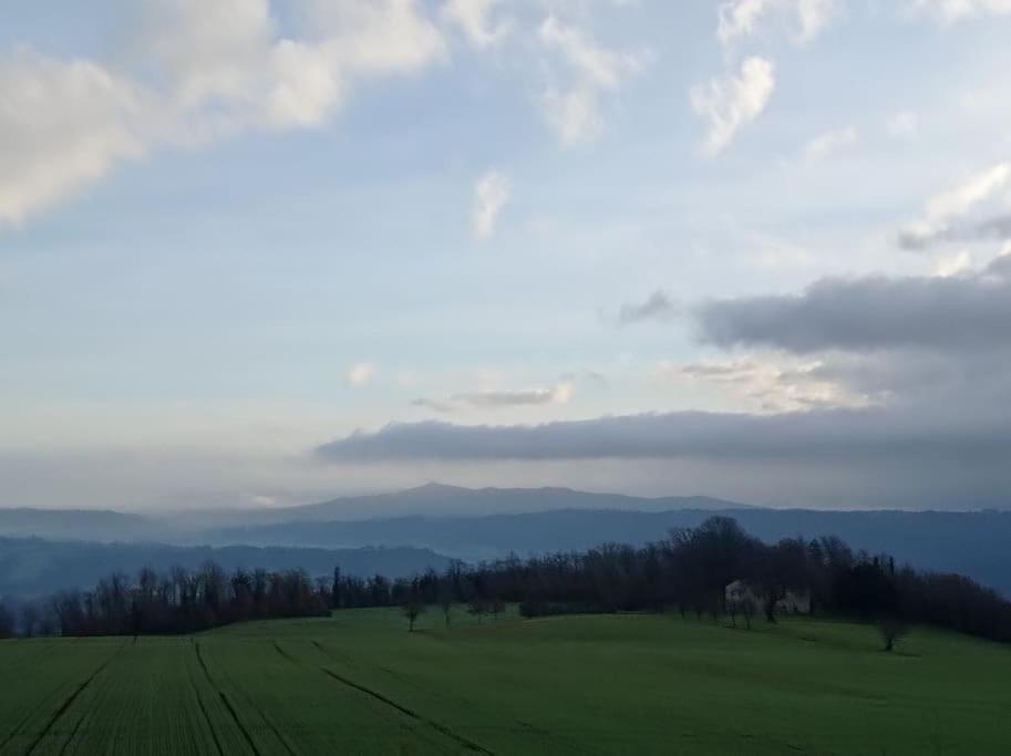 Splendido Ampio Appartamento A Montepulciano Stazione Exteriör bild