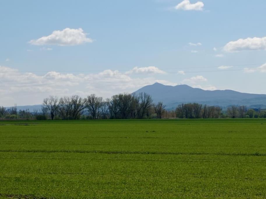 Splendido Ampio Appartamento A Montepulciano Stazione Exteriör bild